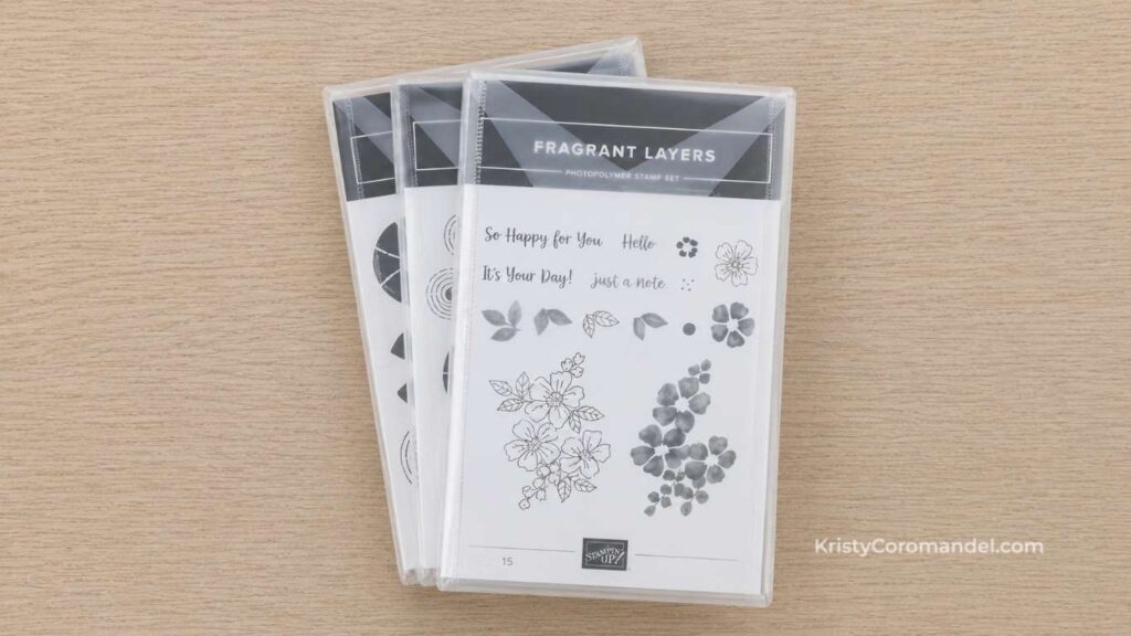 Clear photopolymer stamp set stored inside a protective stamp sleeve and case, laid flat on a craft table for organised storage.